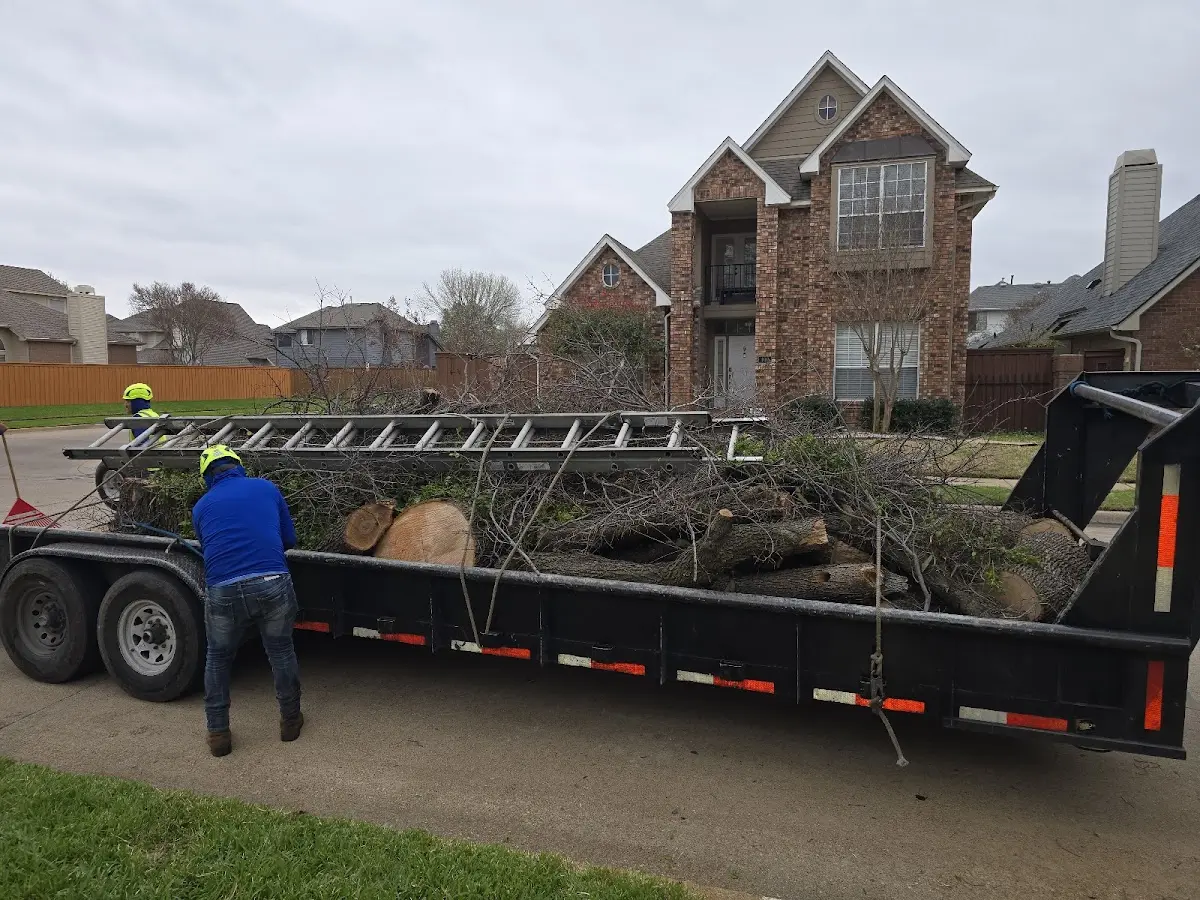 Expert Tree Removal with proper safety equipment in Robbinsville